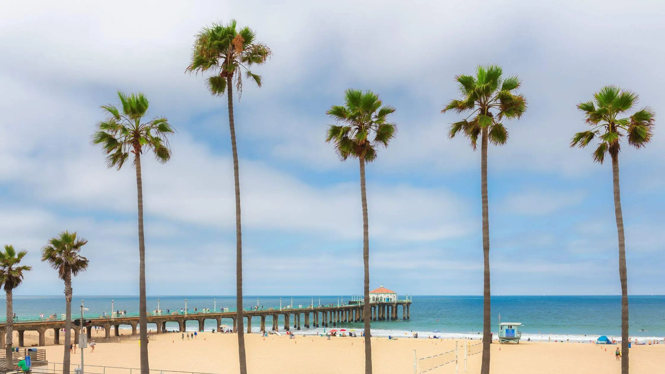 Palm trees and pier at a beach in El Segundo, CA